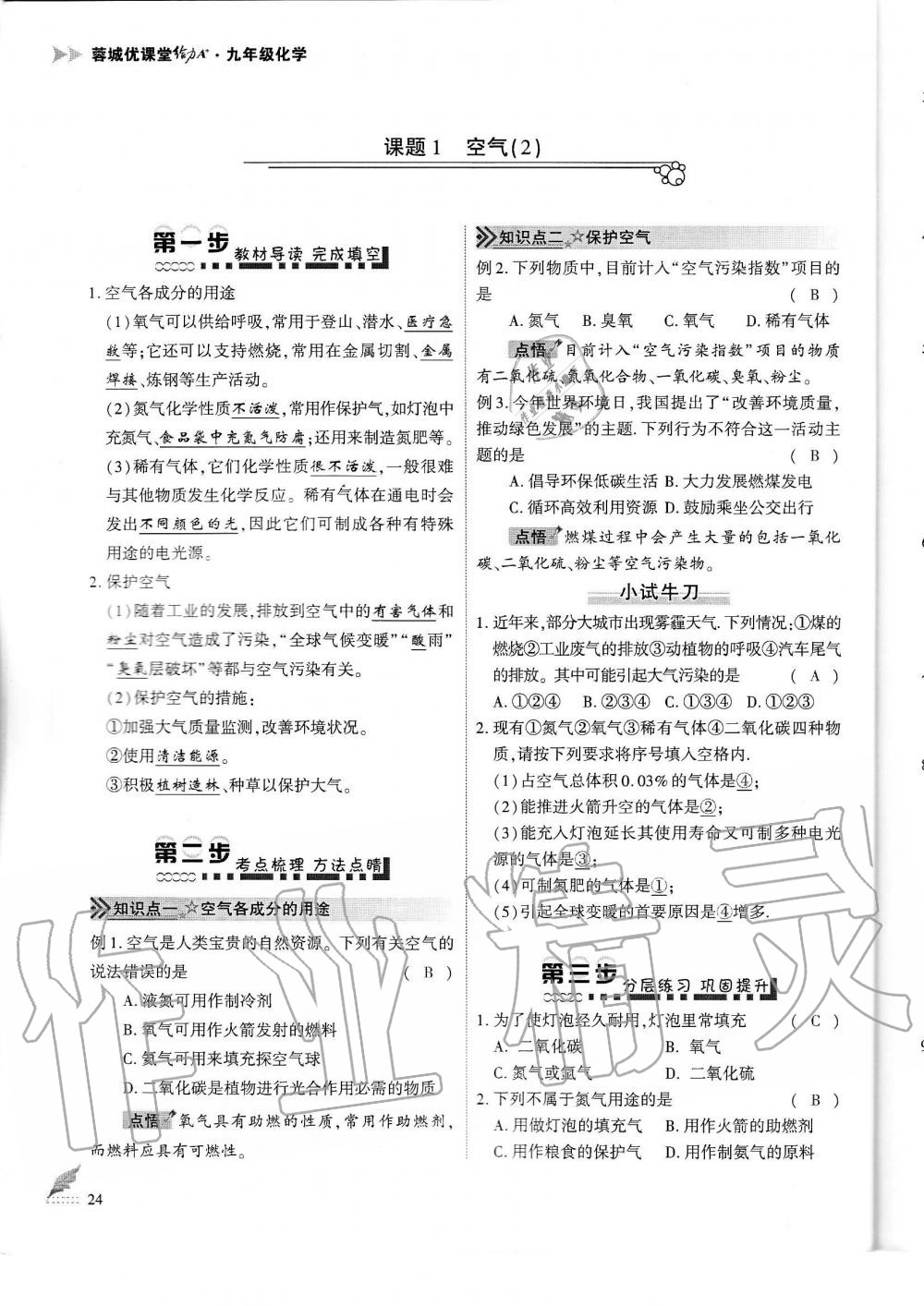 2019年蓉城优课堂给力A加九年级化学全一册人教版 第24页