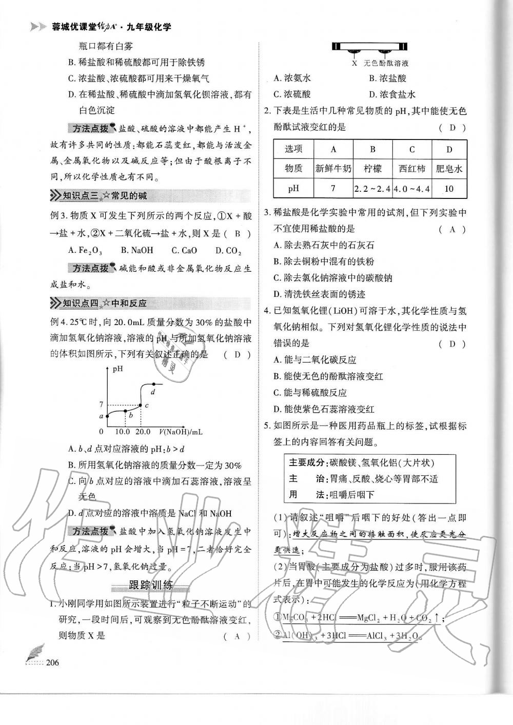 2019年蓉城优课堂给力A加九年级化学全一册人教版 第206页