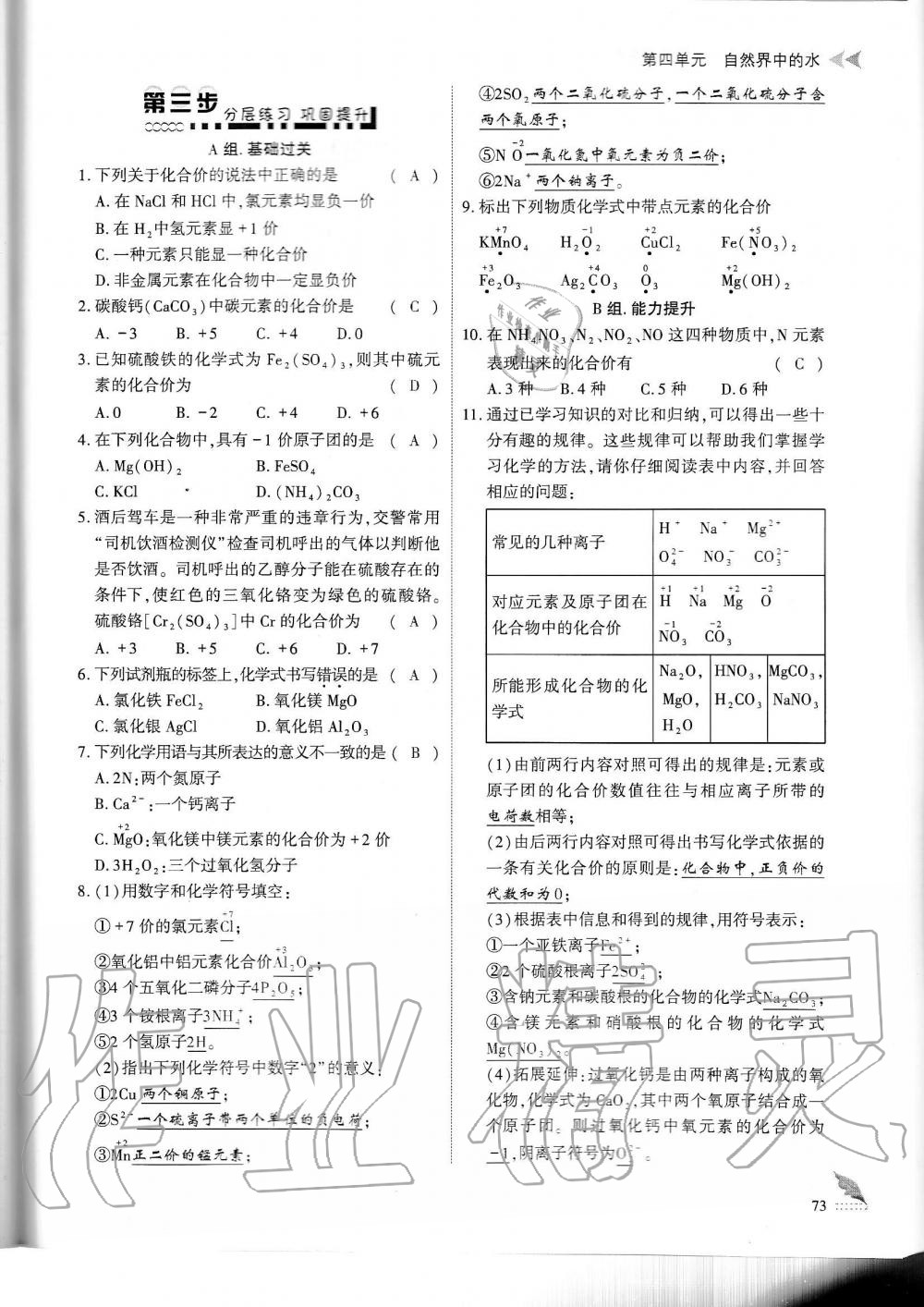 2019年蓉城优课堂给力A加九年级化学全一册人教版 第73页