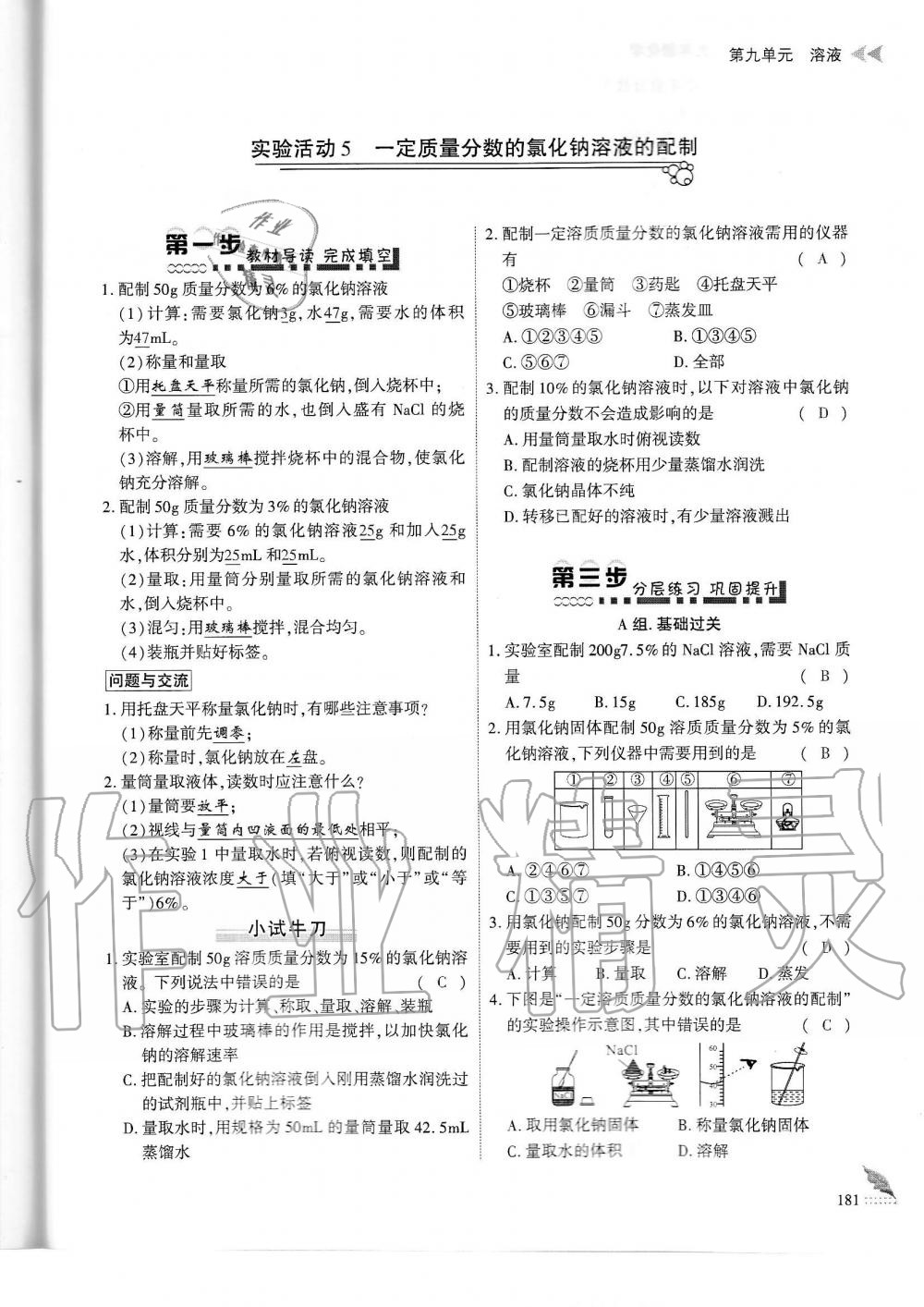 2019年蓉城优课堂给力A加九年级化学全一册人教版 第181页