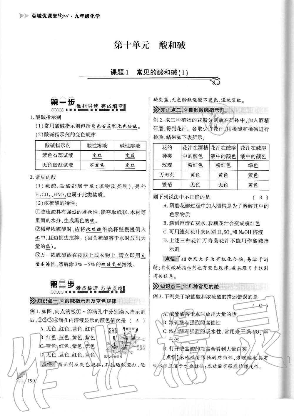 2019年蓉城優(yōu)課堂給力A加九年級化學全一冊人教版 第190頁