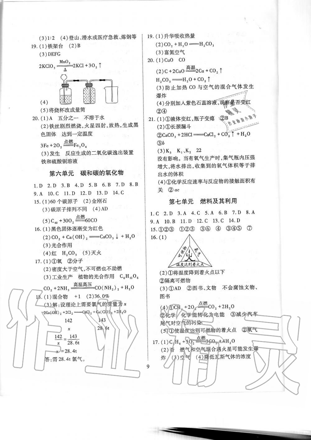 2019年蓉城优课堂给力A加九年级化学全一册人教版 第241页