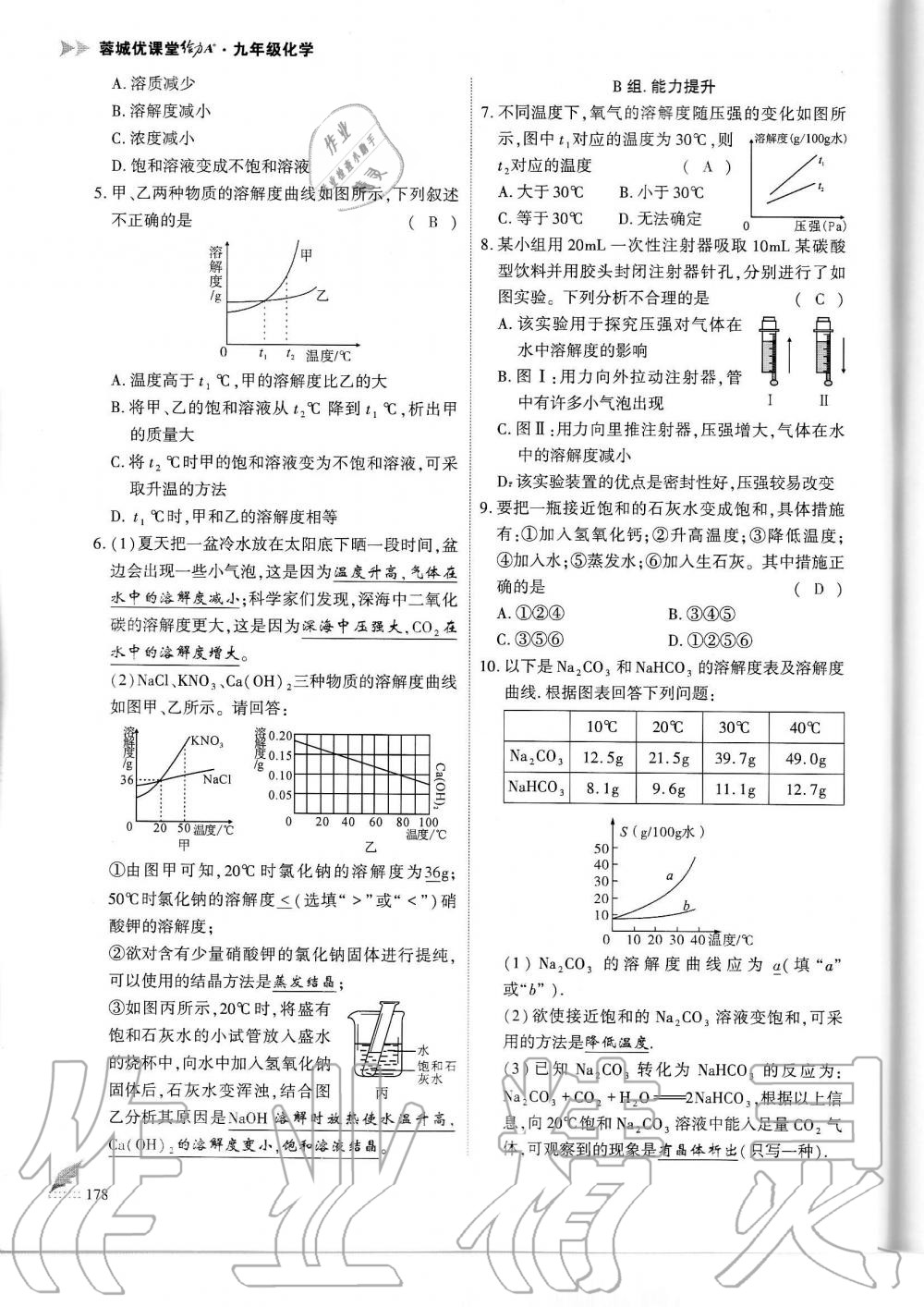 2019年蓉城优课堂给力A加九年级化学全一册人教版 第178页