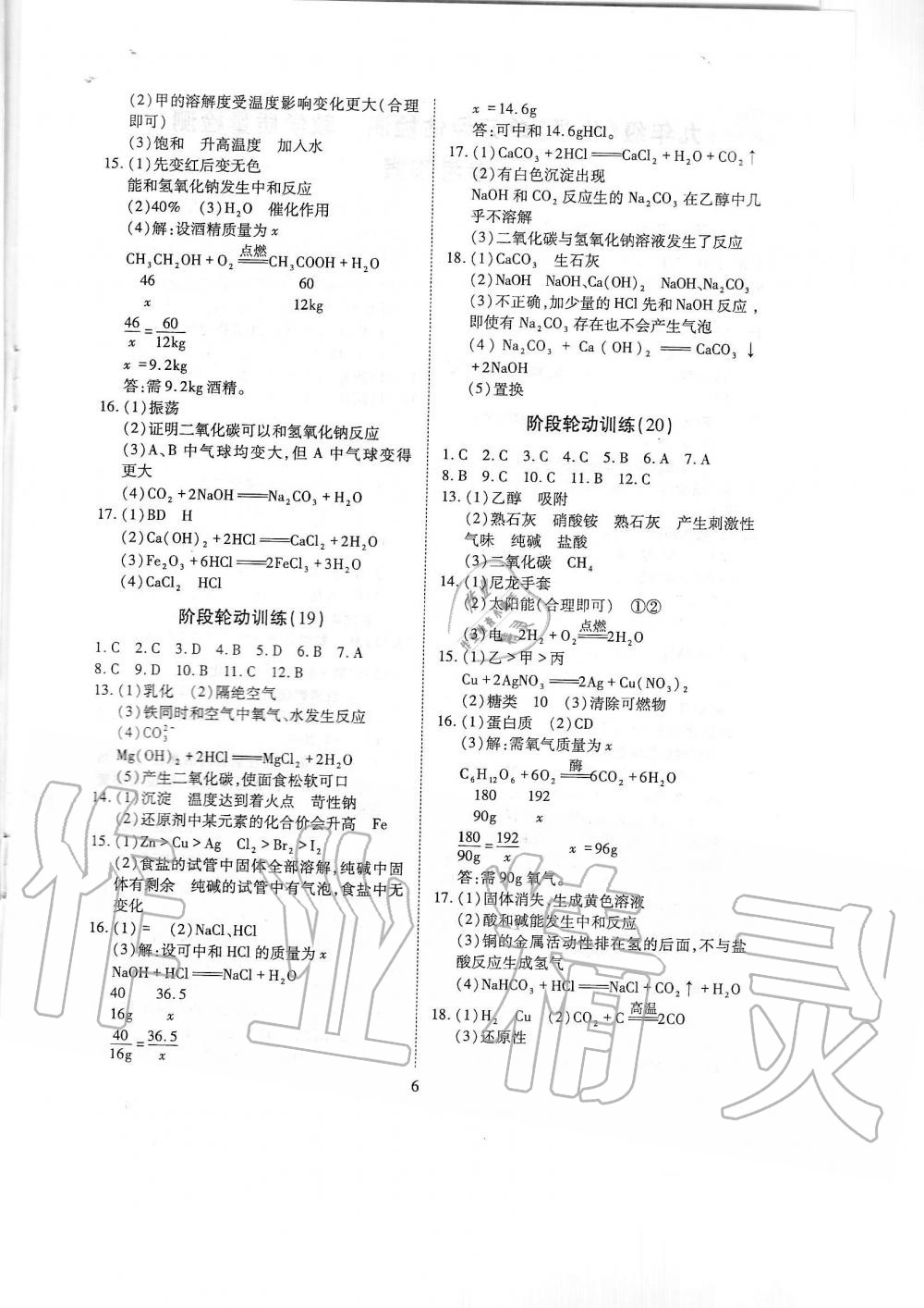 2019年蓉城优课堂给力A加九年级化学全一册人教版 第238页