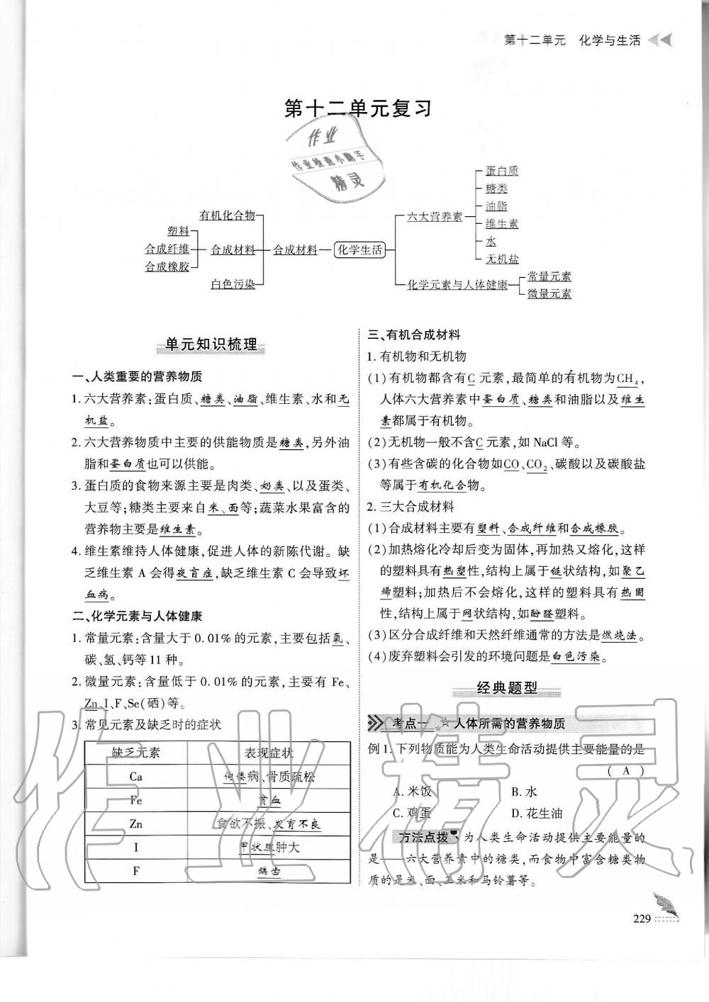 2019年蓉城优课堂给力A加九年级化学全一册人教版 第229页