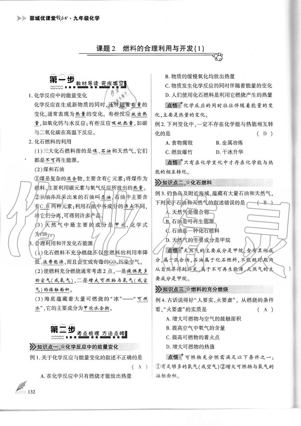 2019年蓉城优课堂给力A加九年级化学全一册人教版 第132页