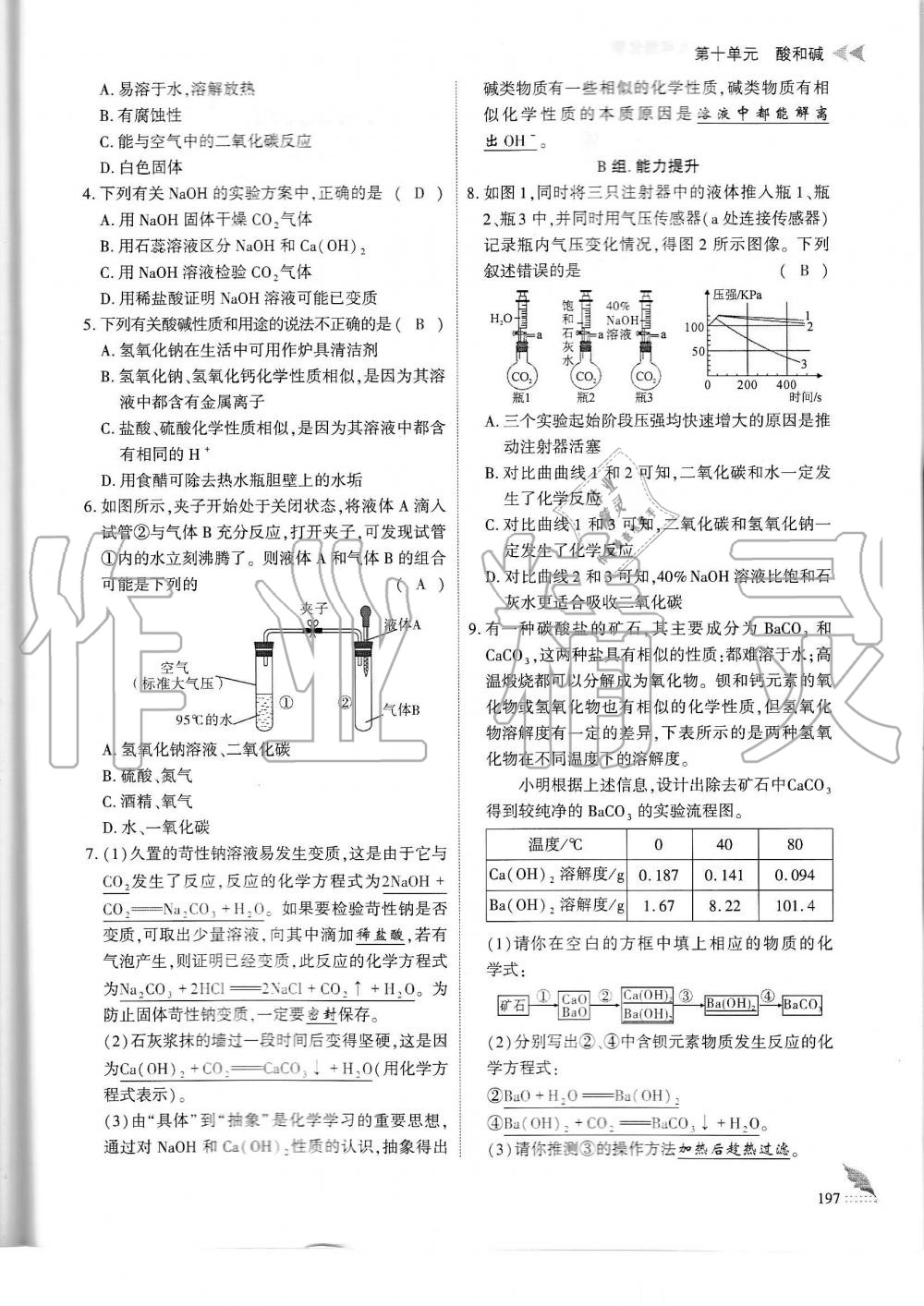 2019年蓉城优课堂给力A加九年级化学全一册人教版 第197页