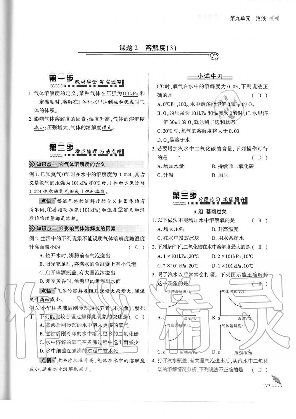 2019年蓉城优课堂给力A加九年级化学全一册人教版 第177页