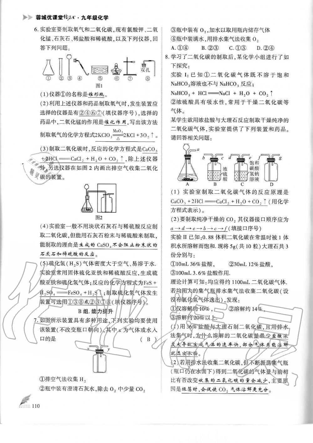 2019年蓉城优课堂给力A加九年级化学全一册人教版 第110页