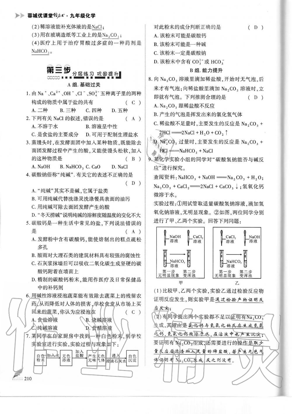 2019年蓉城优课堂给力A加九年级化学全一册人教版 第210页