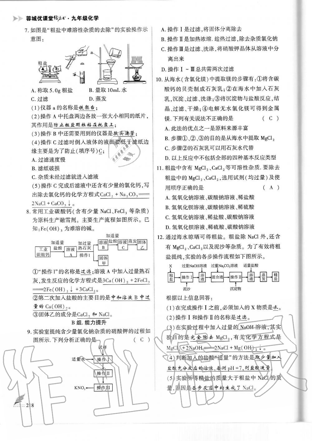 2019年蓉城优课堂给力A加九年级化学全一册人教版 第218页