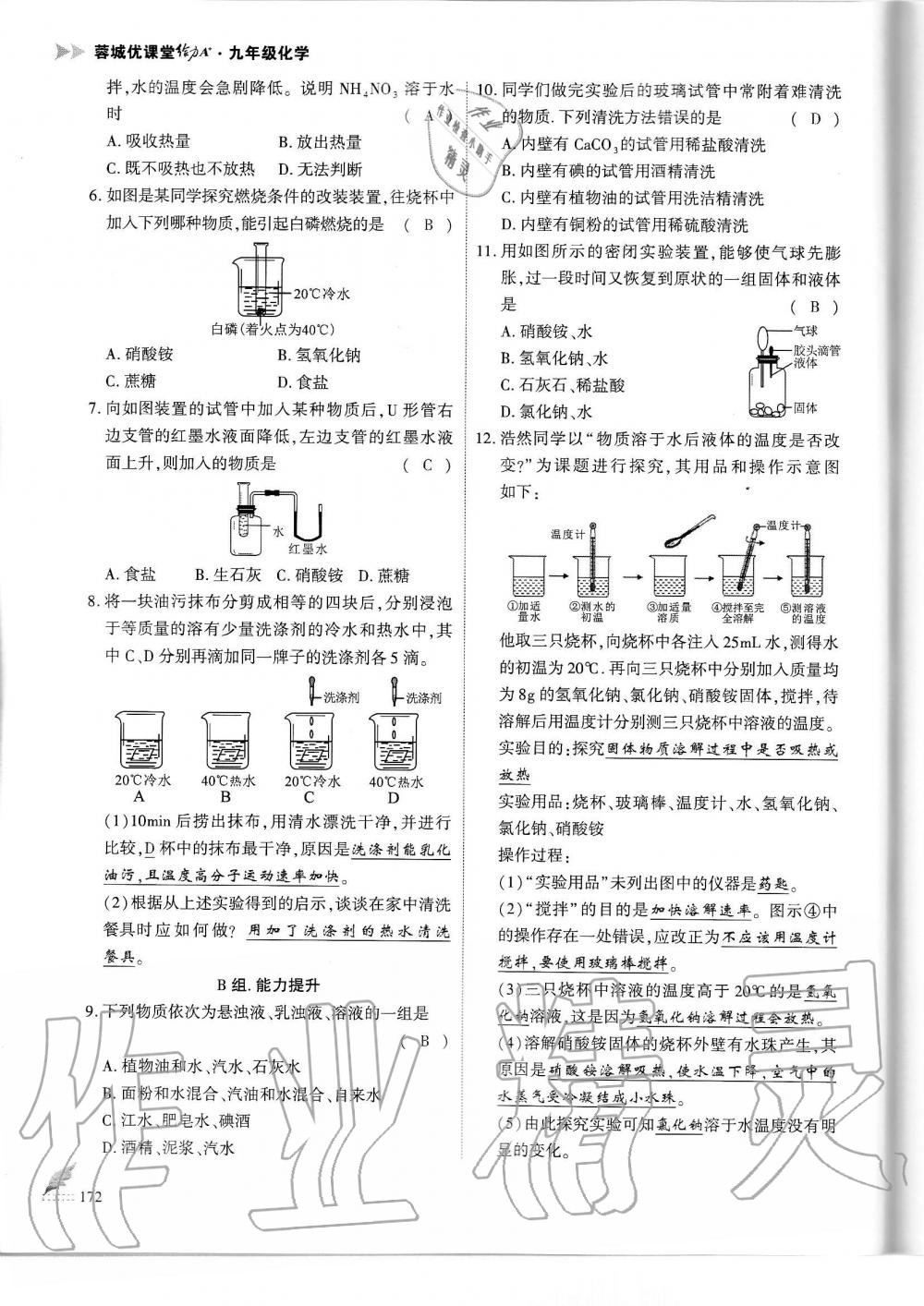 2019年蓉城优课堂给力A加九年级化学全一册人教版 第172页