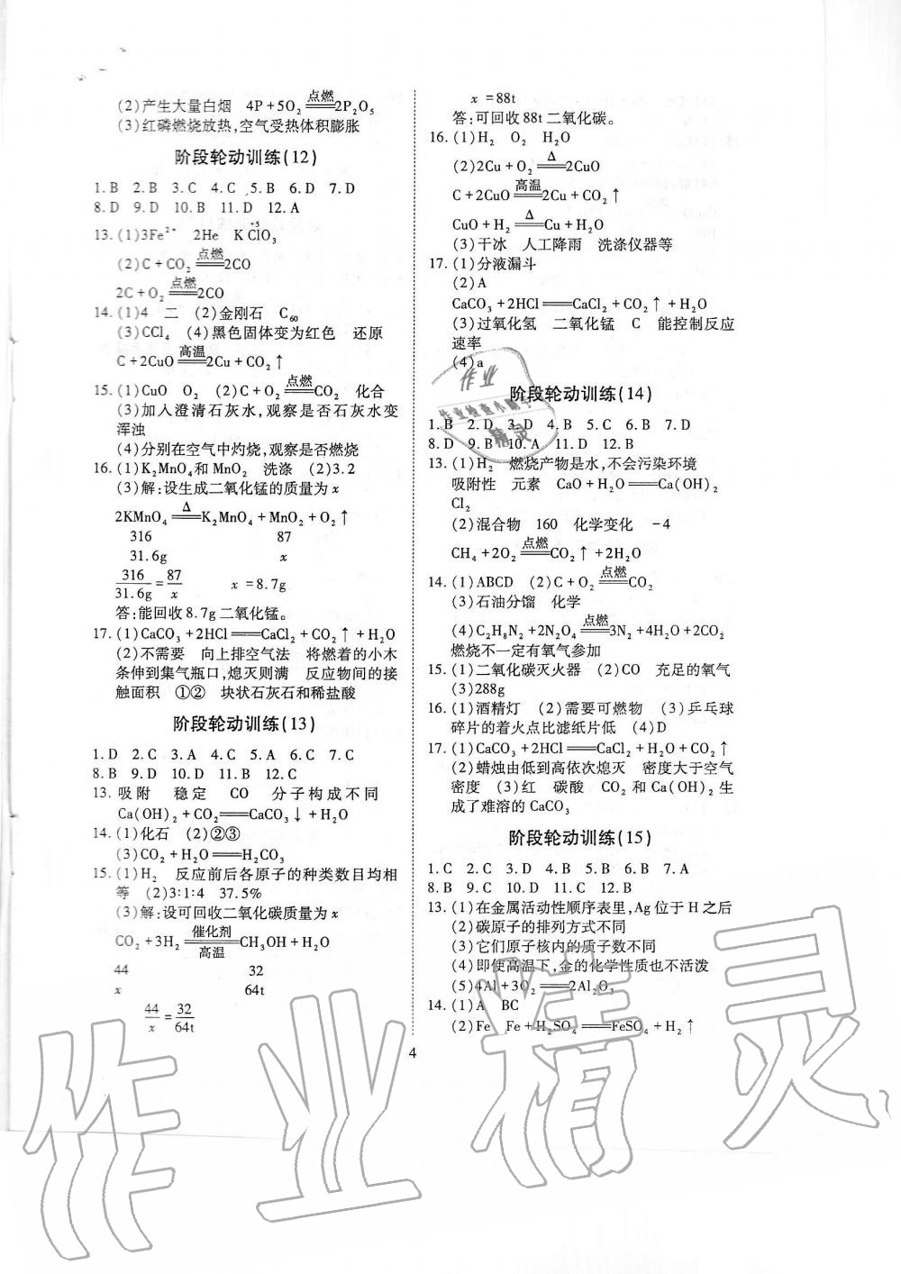 2019年蓉城优课堂给力A加九年级化学全一册人教版 第236页