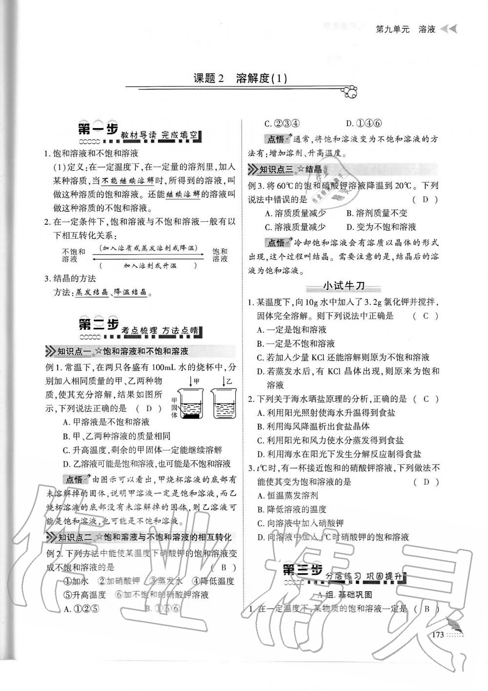 2019年蓉城优课堂给力A加九年级化学全一册人教版 第173页