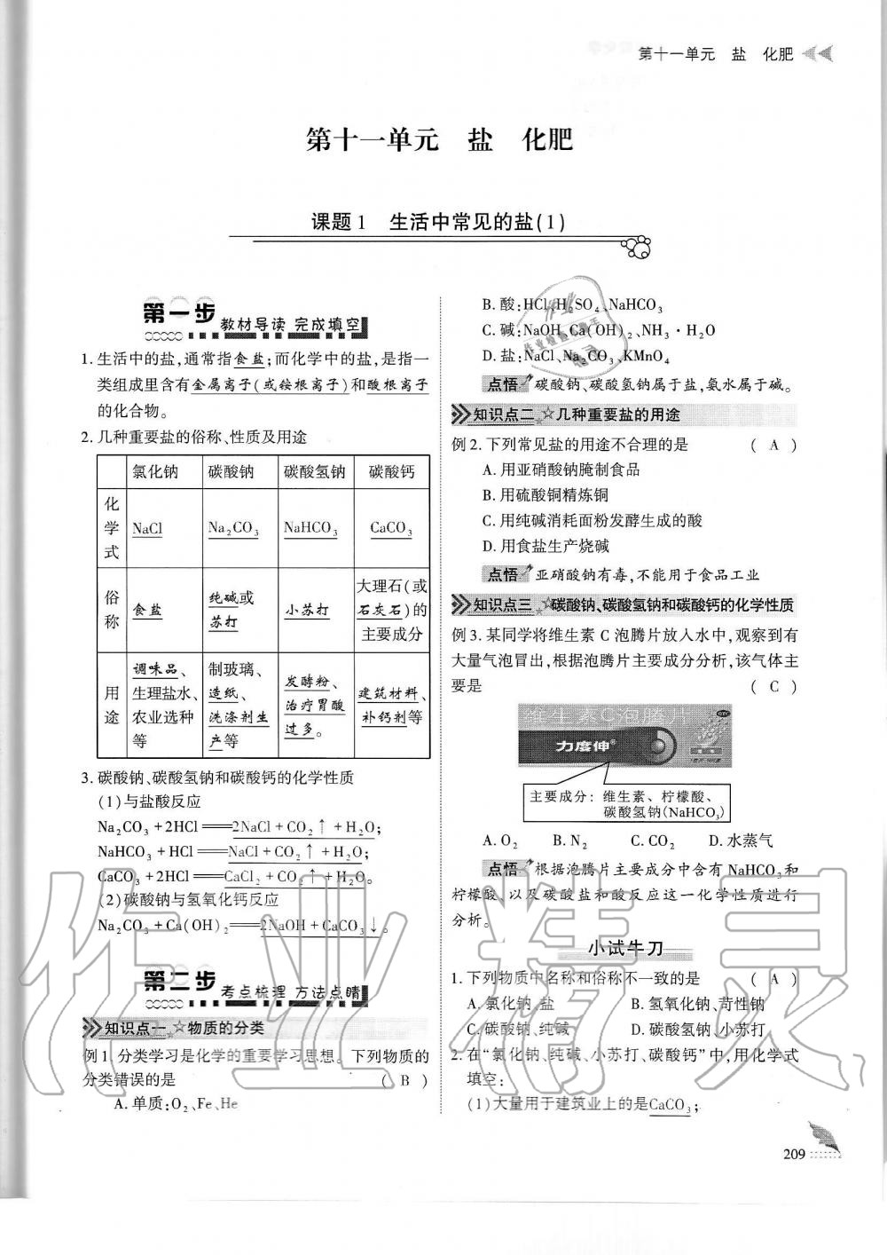 2019年蓉城優(yōu)課堂給力A加九年級化學(xué)全一冊人教版 第209頁