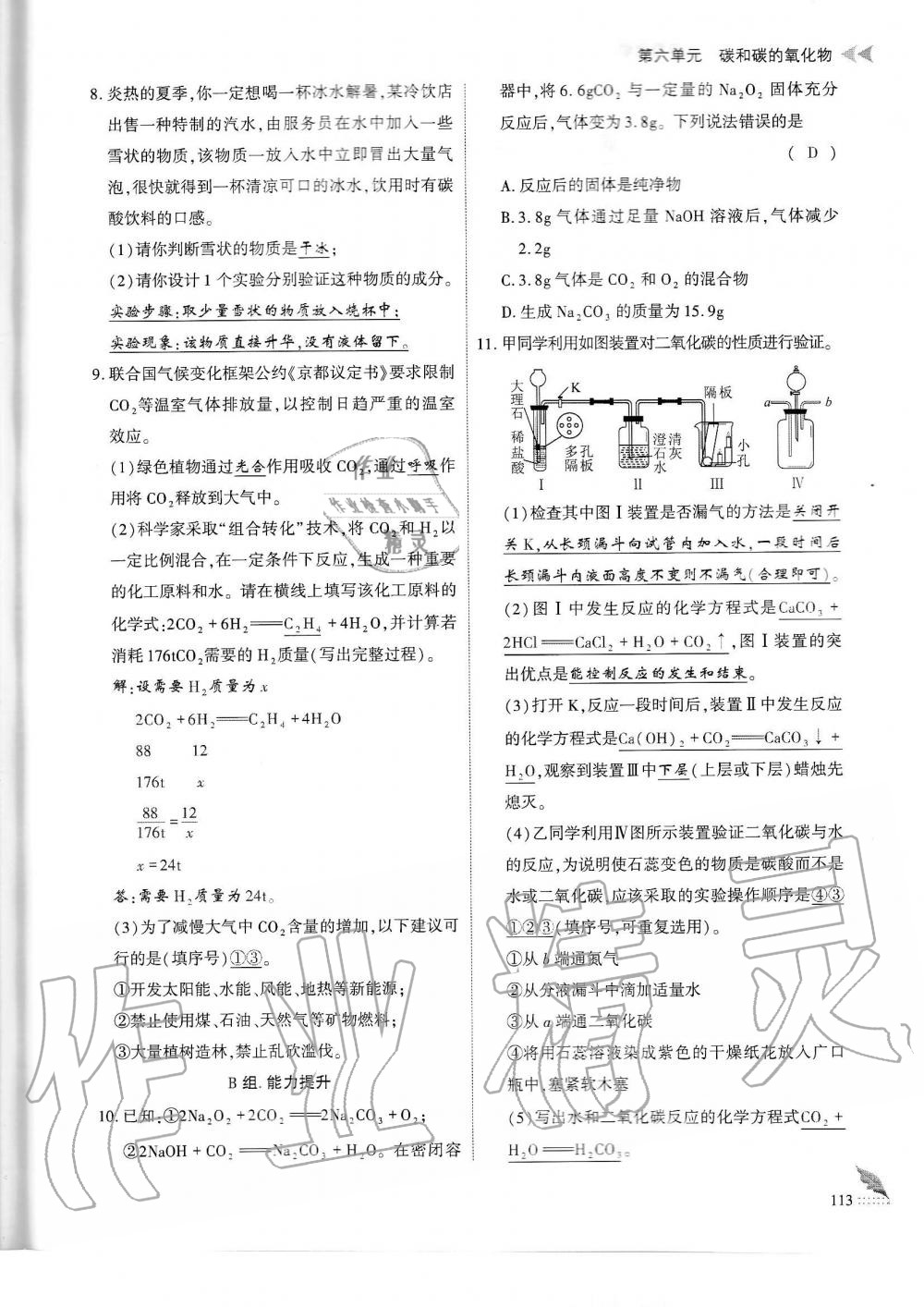 2019年蓉城优课堂给力A加九年级化学全一册人教版 第113页