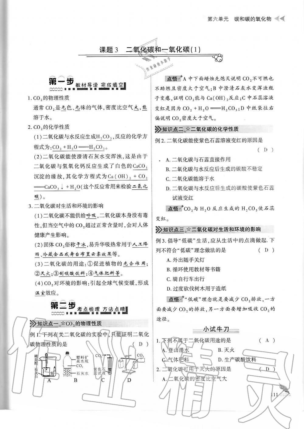 2019年蓉城优课堂给力A加九年级化学全一册人教版 第111页