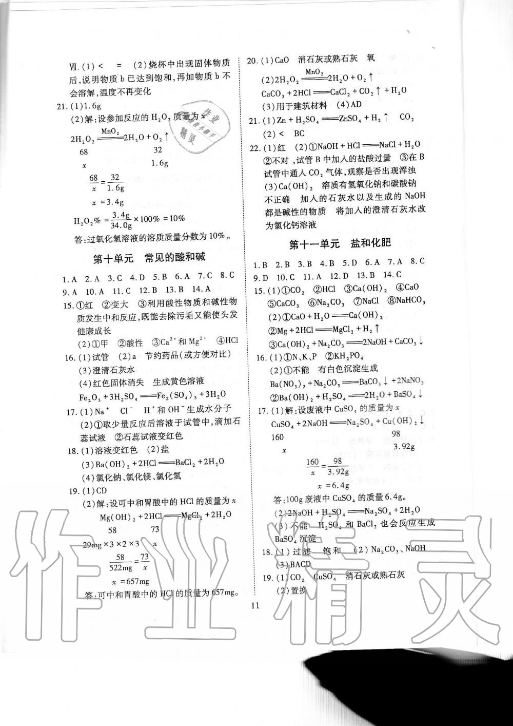 2019年蓉城優(yōu)課堂給力A加九年級(jí)化學(xué)全一冊(cè)人教版 第243頁(yè)