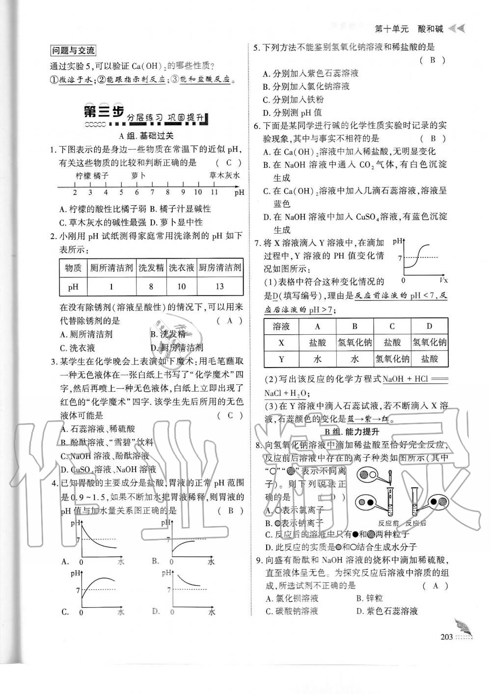 2019年蓉城优课堂给力A加九年级化学全一册人教版 第203页