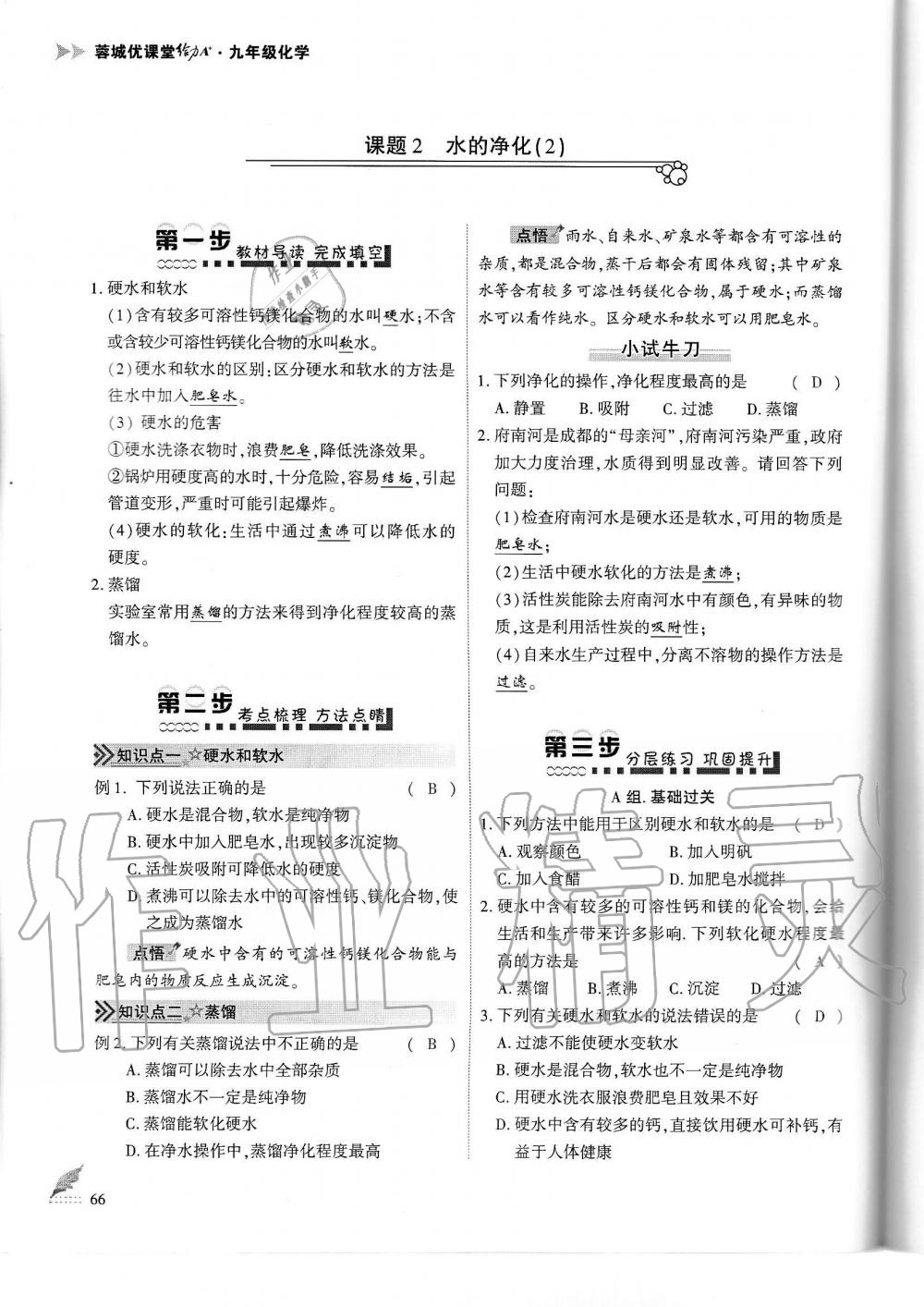 2019年蓉城优课堂给力A加九年级化学全一册人教版 第66页