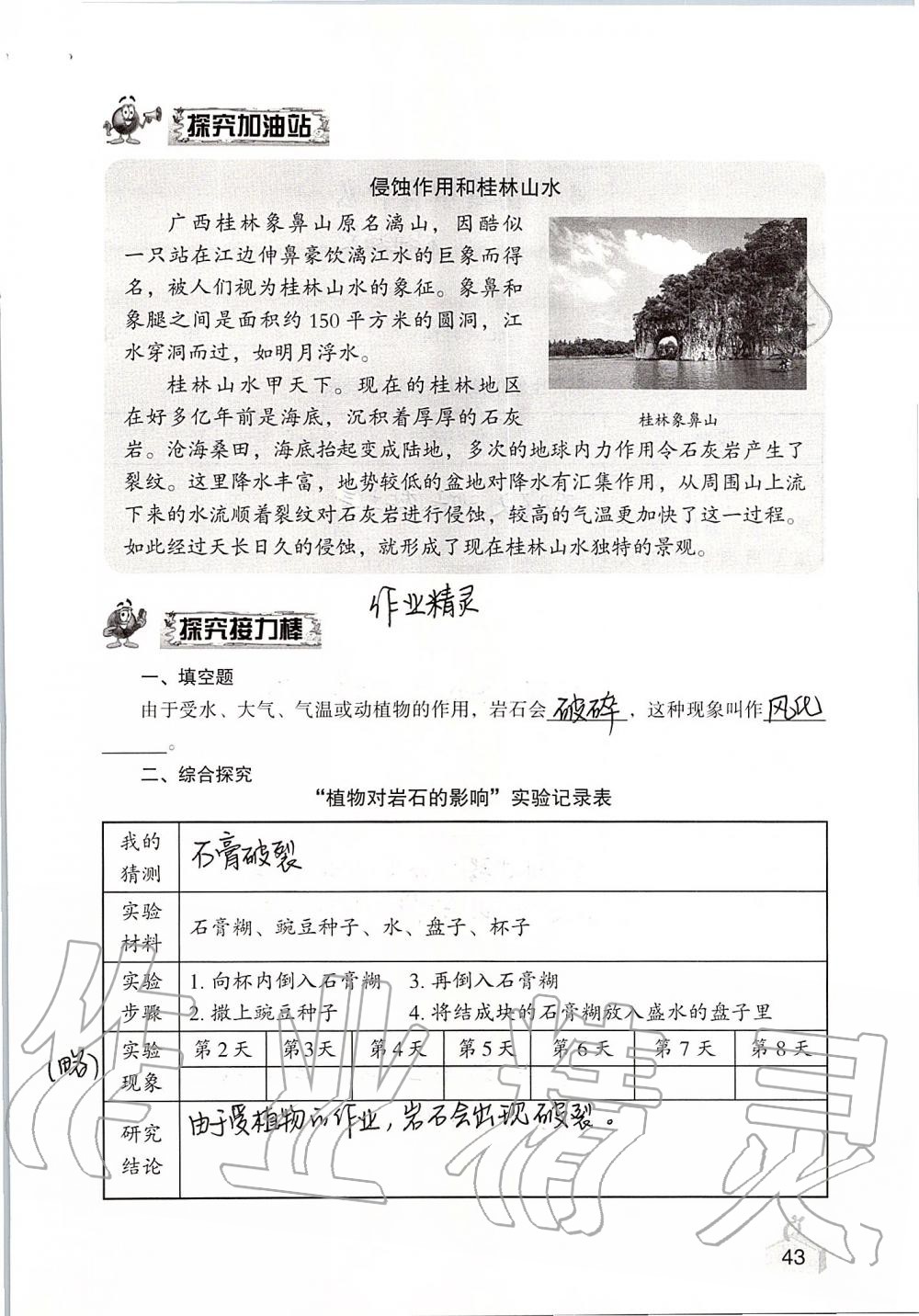 2019年知識與能力訓(xùn)練五年級科學(xué)上冊教科版 第43頁