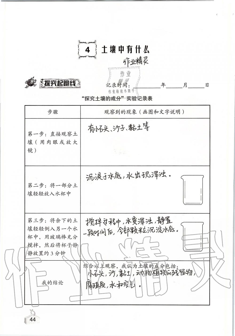 2019年知識與能力訓練五年級科學上冊教科版 第44頁