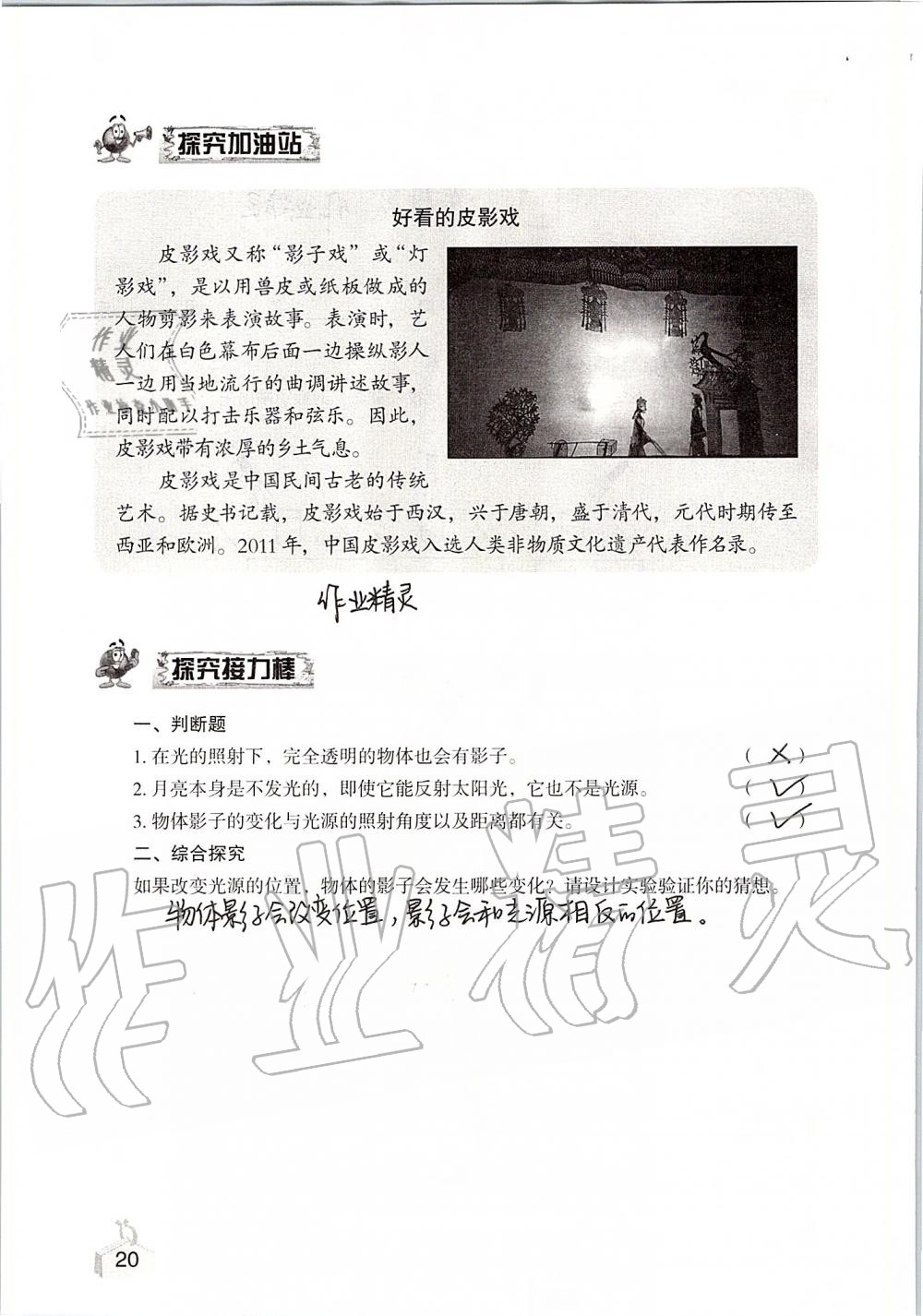 2019年知識與能力訓(xùn)練五年級科學(xué)上冊教科版 第20頁