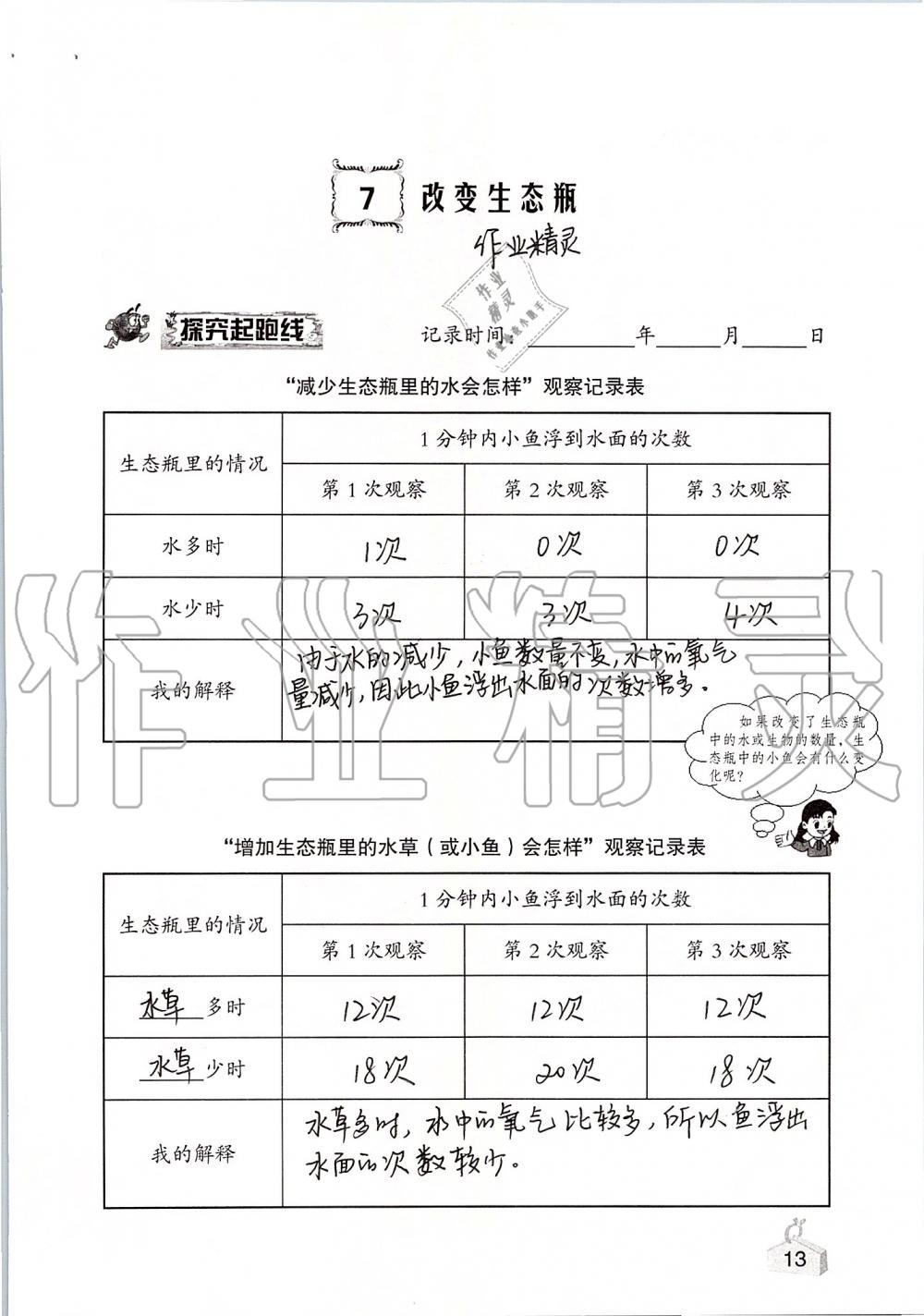 2019年知識與能力訓練五年級科學上冊教科版 第13頁