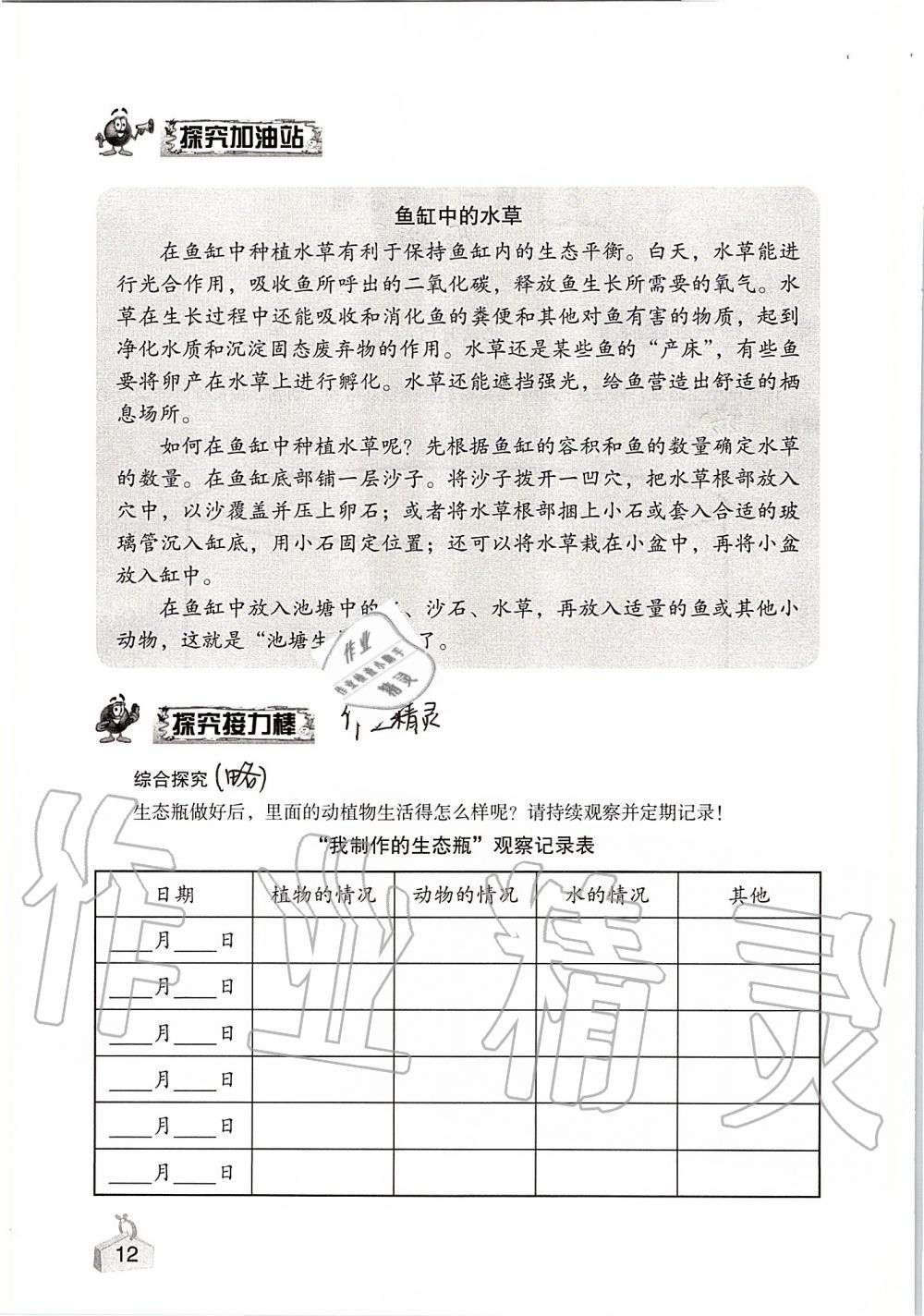 2019年知識(shí)與能力訓(xùn)練五年級(jí)科學(xué)上冊(cè)教科版 第12頁(yè)