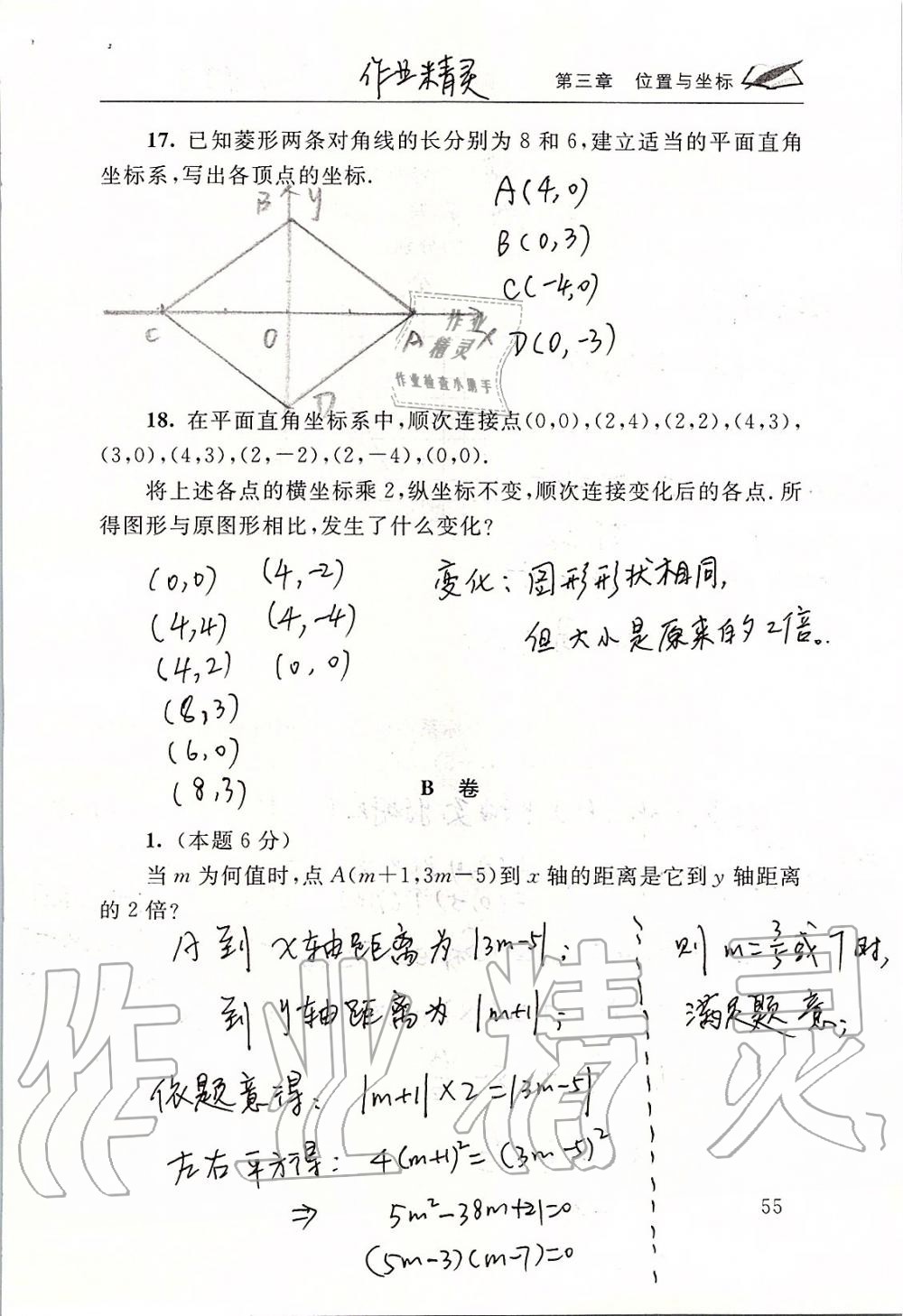 2019年数学配套练习册八年级上册北师大版 第55页