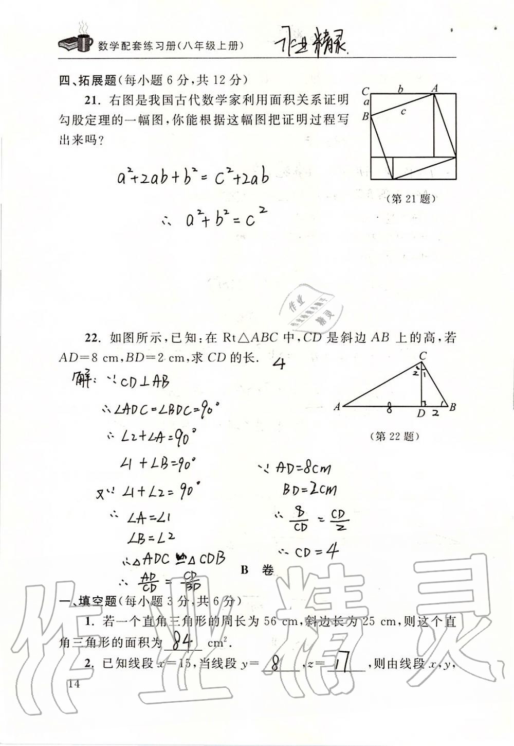 2019年数学配套练习册八年级上册北师大版 第14页