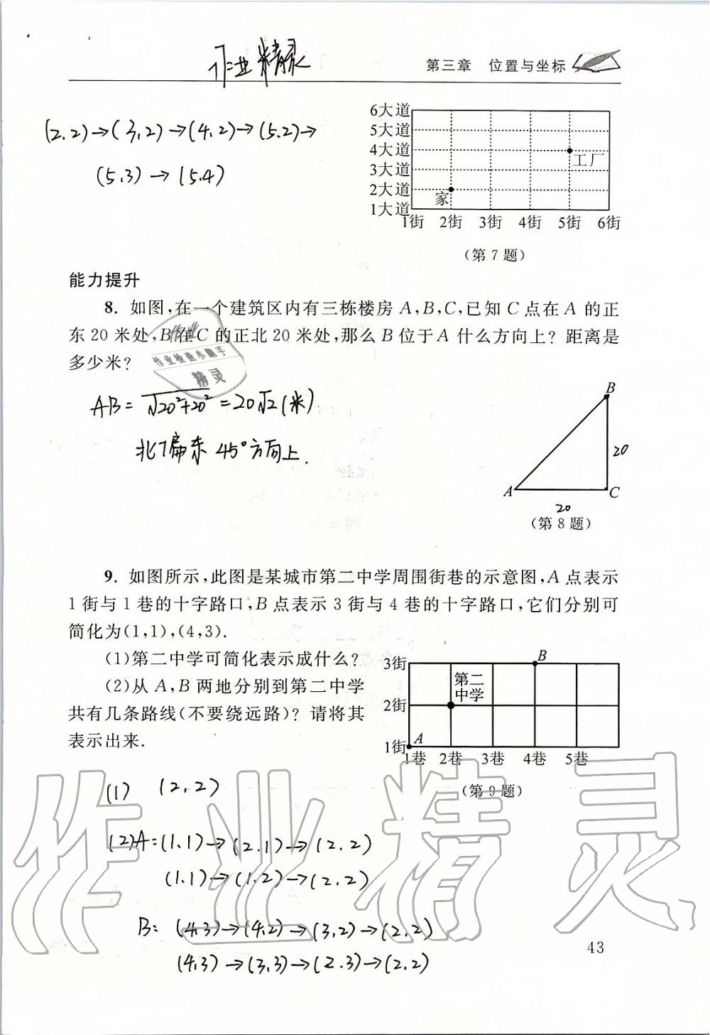 2019年数学配套练习册八年级上册北师大版 第43页