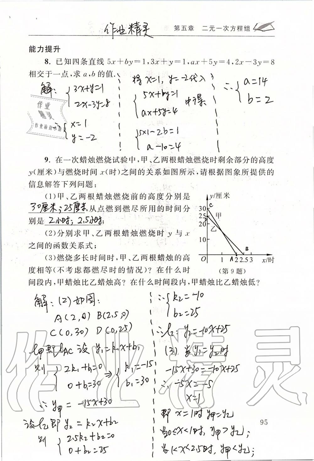 2019年數(shù)學(xué)配套練習(xí)冊(cè)八年級(jí)上冊(cè)北師大版 第95頁(yè)