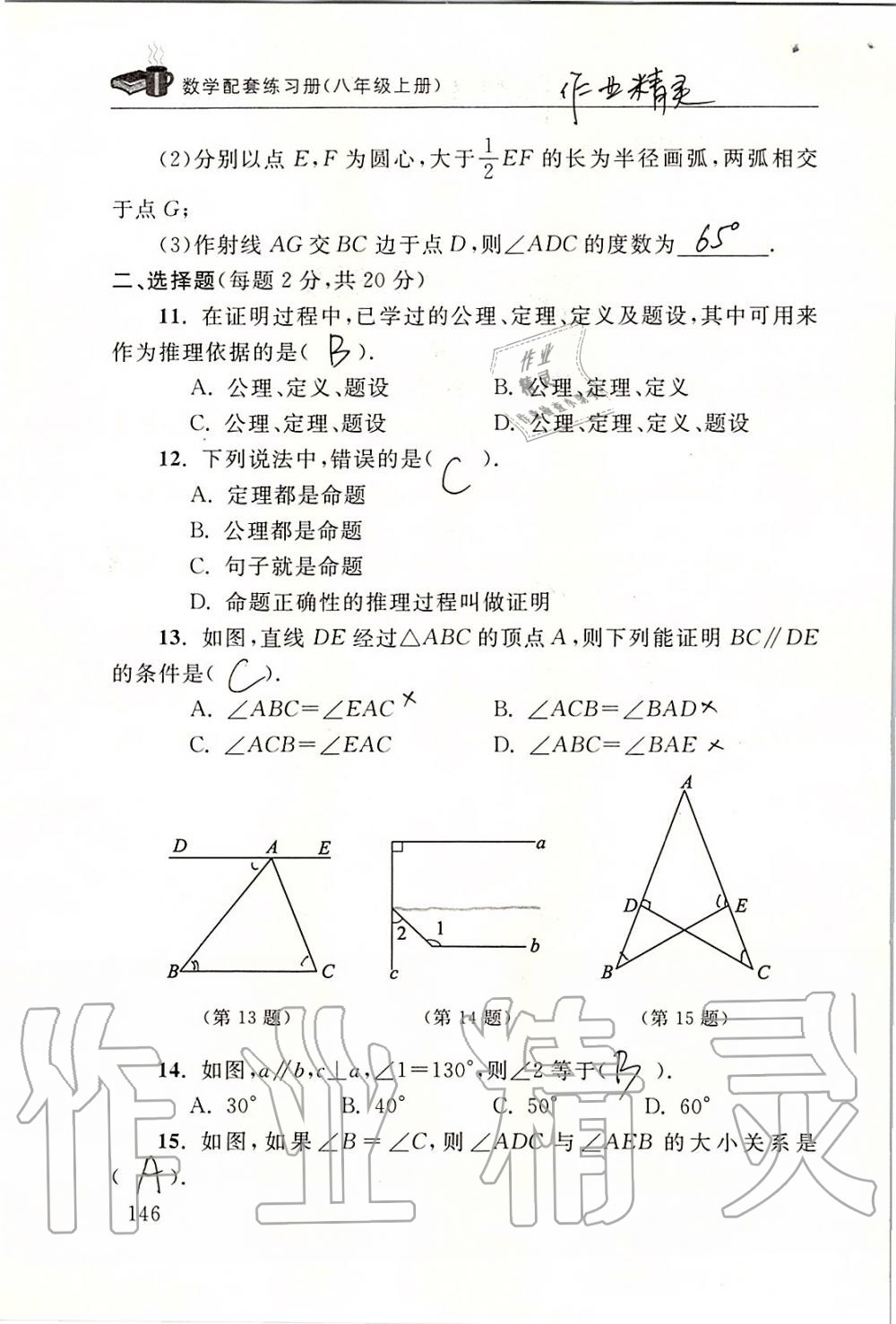 2019年数学配套练习册八年级上册北师大版 第146页