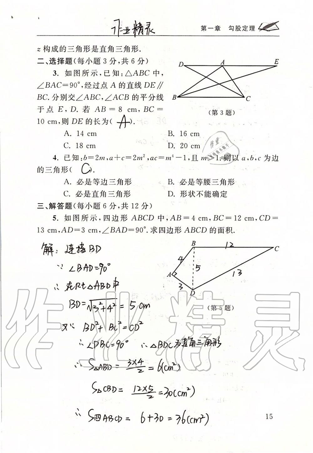 2019年数学配套练习册八年级上册北师大版 第15页