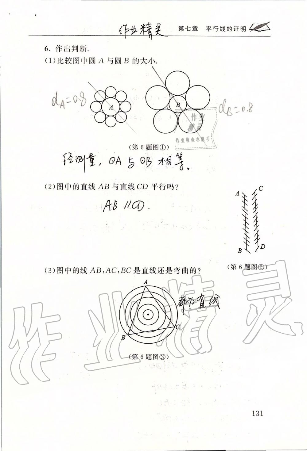 2019年数学配套练习册八年级上册北师大版 第131页