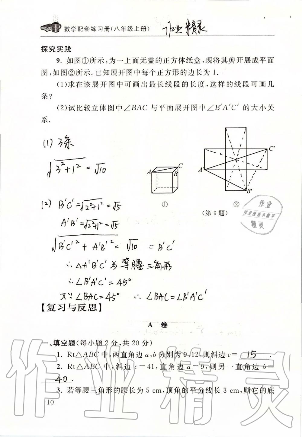 2019年數學配套練習冊八年級上冊北師大版 第10頁