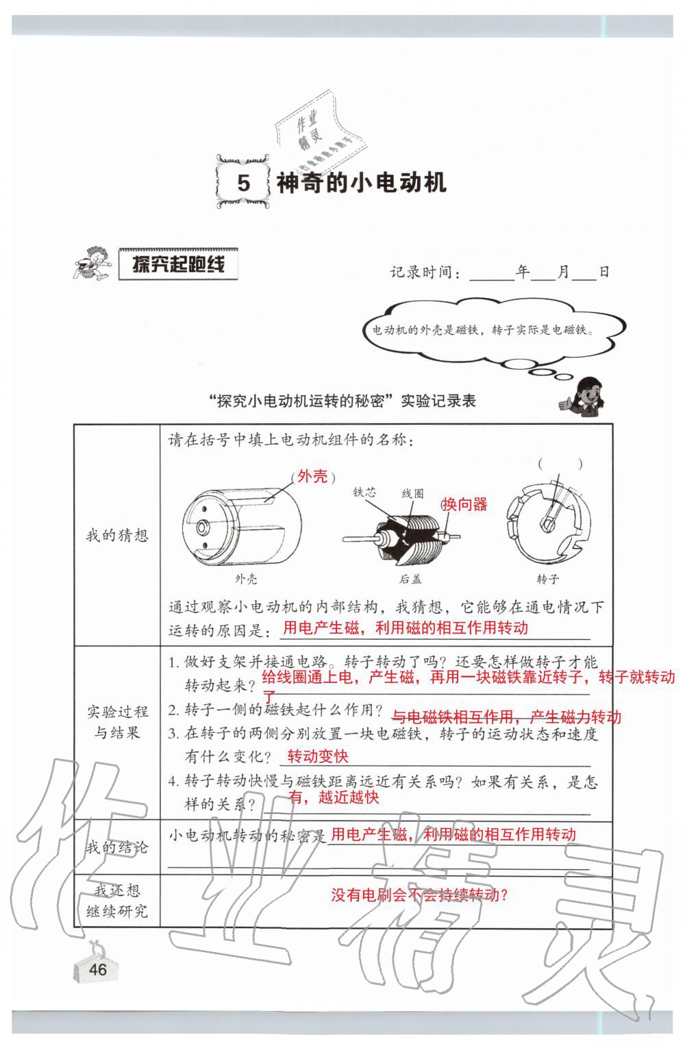 2019年知識與能力訓練六年級科學上冊教科版 第46頁