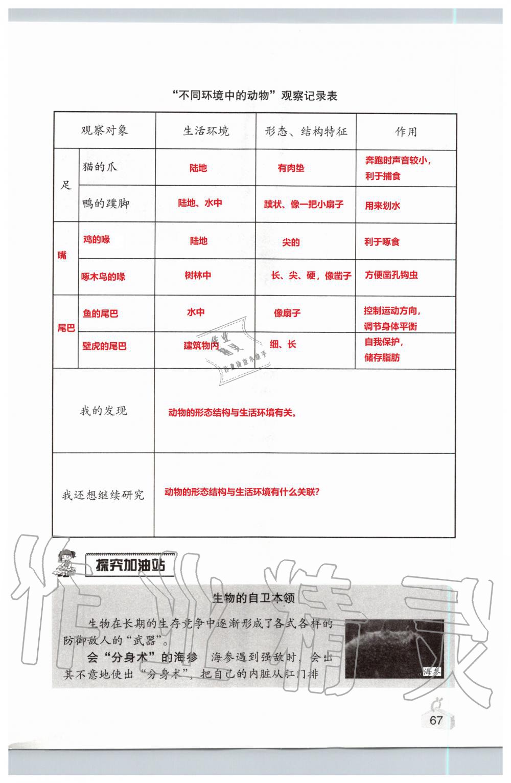 2019年知識與能力訓(xùn)練六年級科學(xué)上冊教科版 第67頁