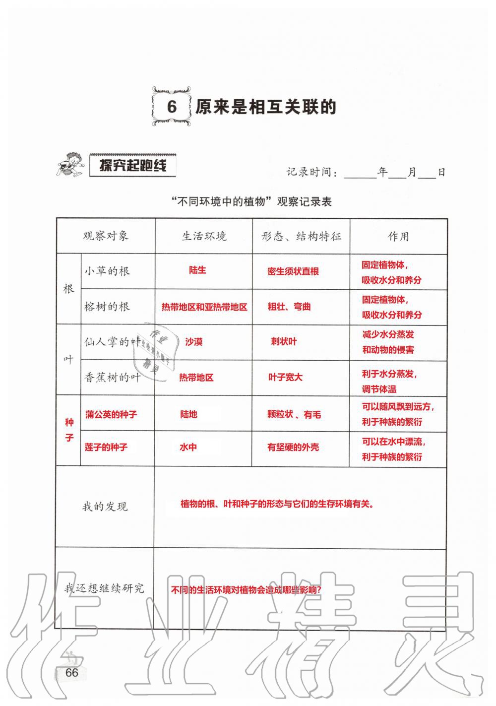 2019年知識與能力訓(xùn)練六年級科學(xué)上冊教科版 第66頁