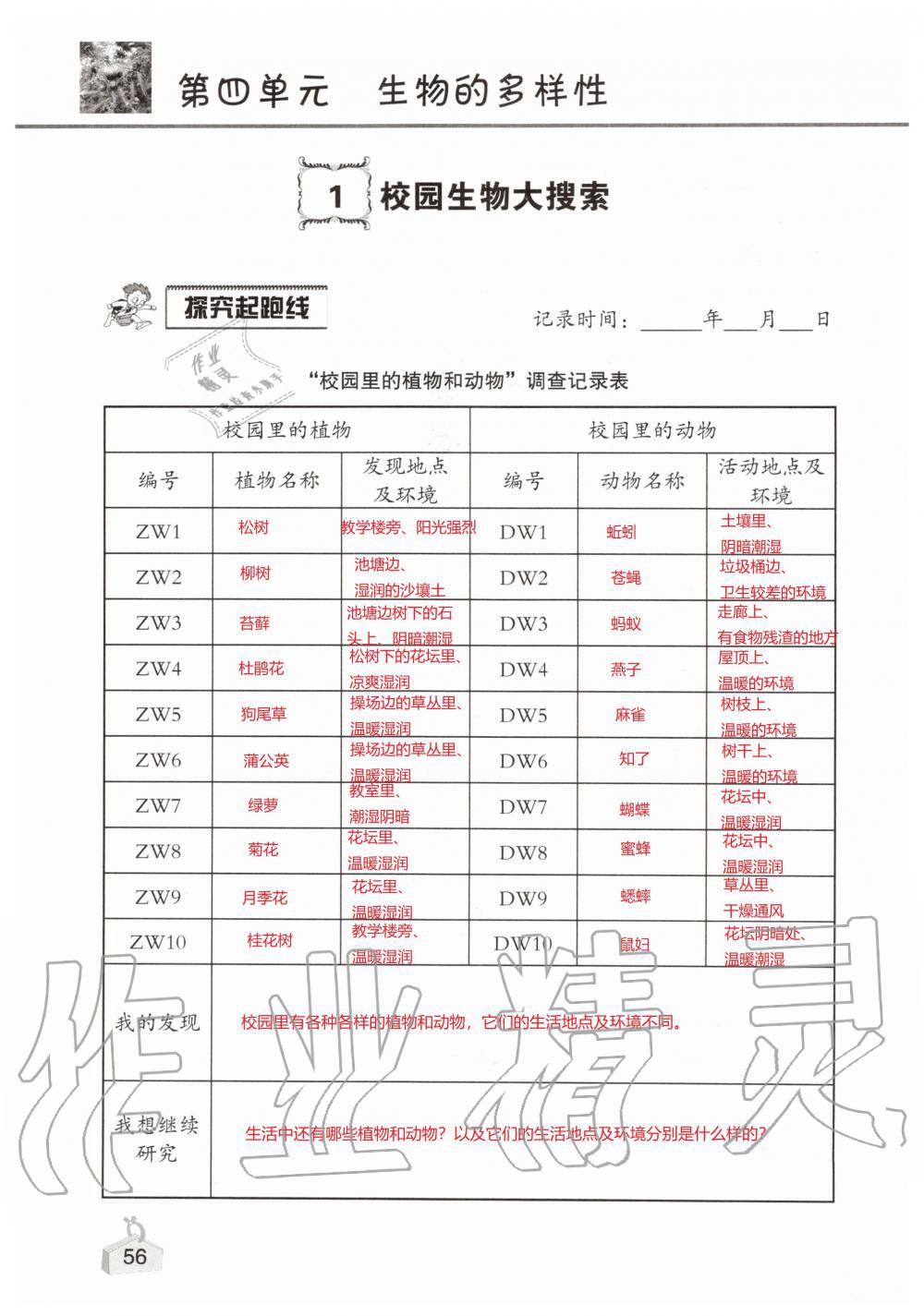 2019年知識與能力訓(xùn)練六年級科學(xué)上冊教科版 第56頁