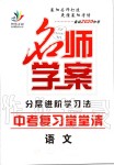 2019年名師學(xué)案中考復(fù)習(xí)堂堂清九年級語文全一冊人教版