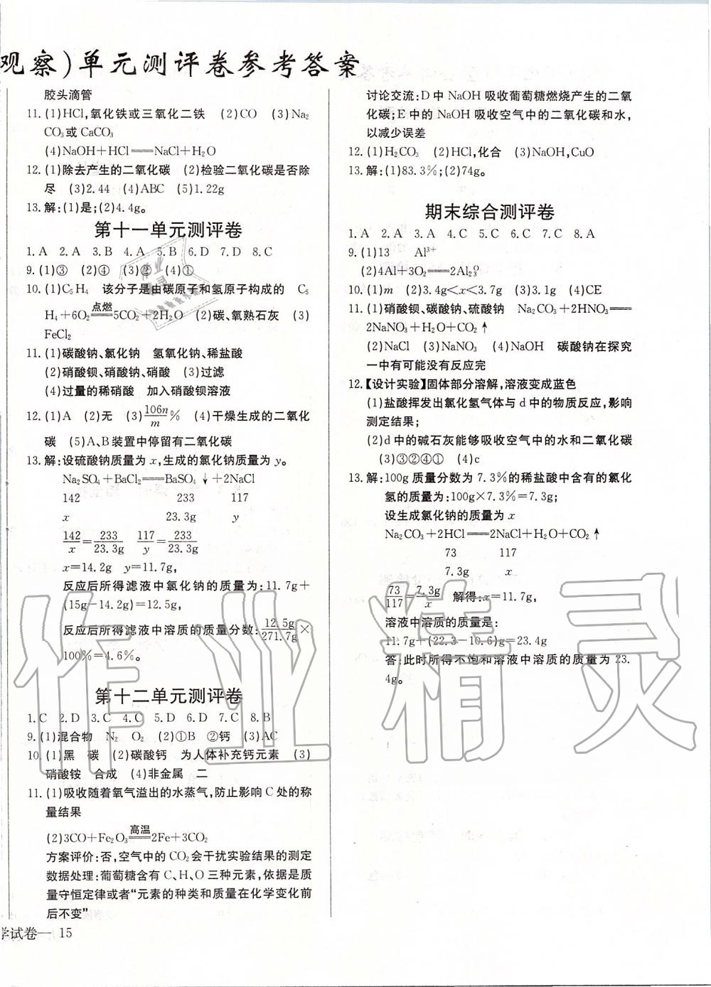 2020年思維新觀(guān)察九年級(jí)化學(xué)下冊(cè)人教版 第2頁(yè)