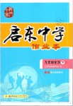 2020年啟東中學作業(yè)本九年級化學下冊人教版