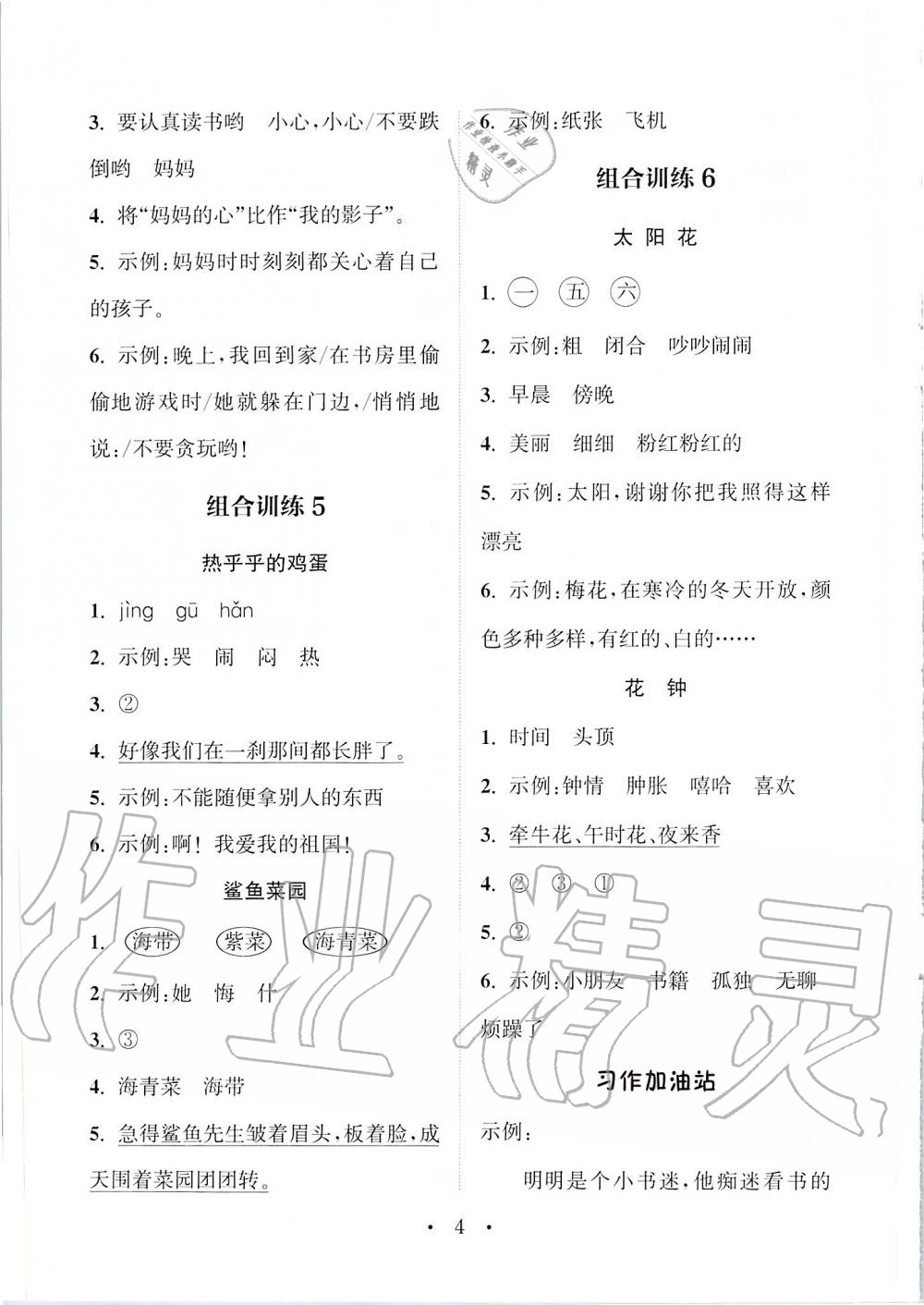 2020年通城學(xué)典小學(xué)語文閱讀與寫作組合訓(xùn)練二年級(jí)下冊(cè)人教版 第3頁