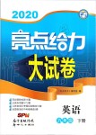 2020年亮点给力大试卷九年级英语下册译林版