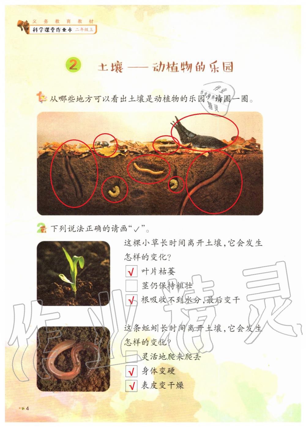 2019年科學(xué)課堂作業(yè)本二年級(jí)上冊(cè)教科版浙江教育出版社 第4頁(yè)