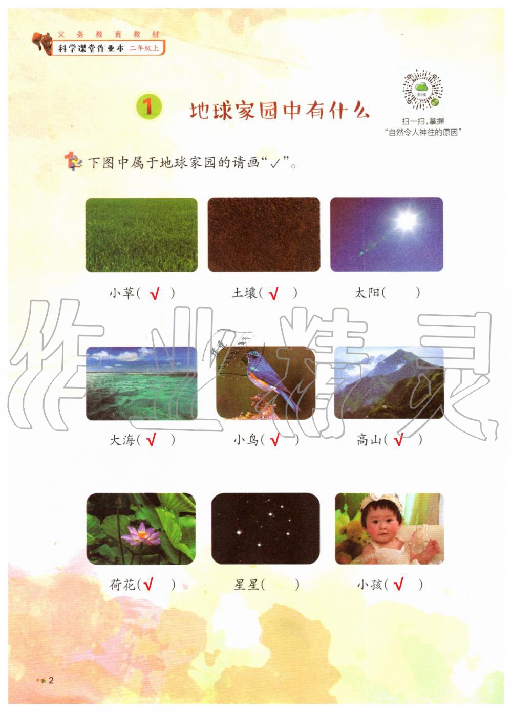 2019年科學(xué)課堂作業(yè)本二年級上冊教科版浙江教育出版社 第2頁