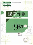 2020年智慧学习天天向上课堂作业九年级化学下册人教版