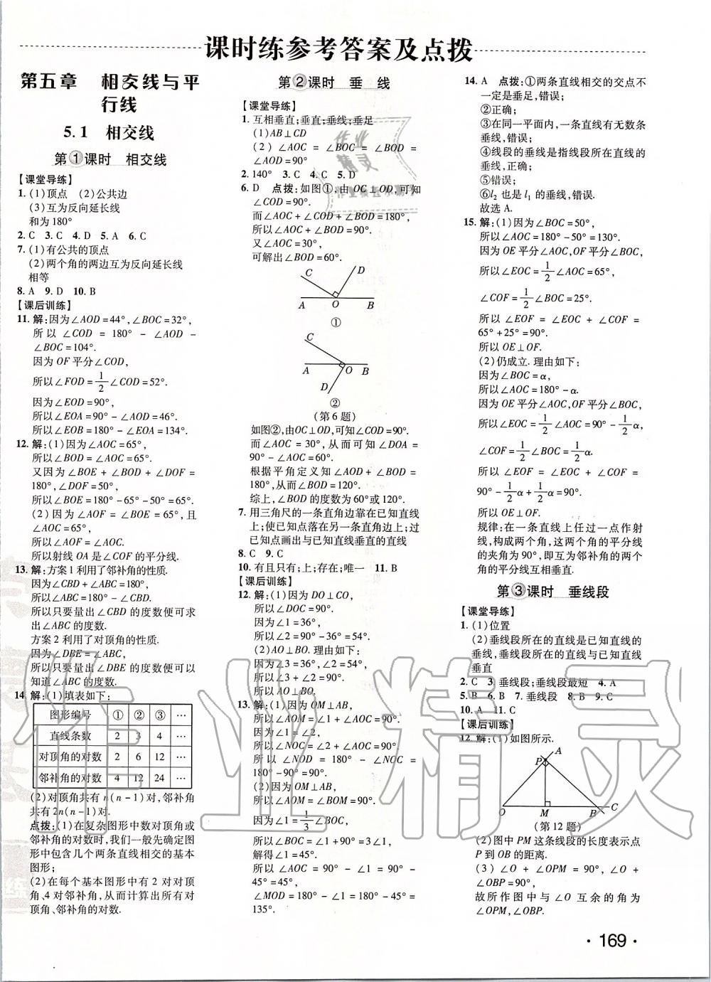 2020年點撥訓練七年級數(shù)學下冊人教版 第6頁